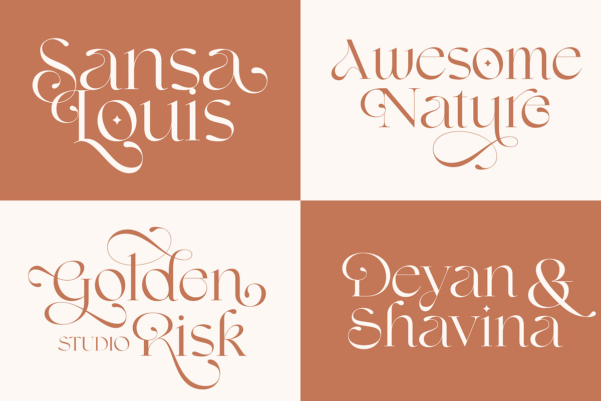 Shavina Elegance, a Serif Font by INKSUN™ (Photo 2 of 12)