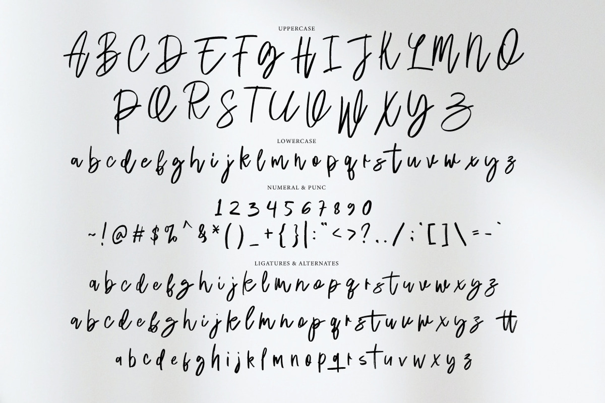 Delight Party - Casual Handwritten, a Handwritten Font by tebaltipislab (Photo 10 of 10)