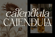 Magnola - Elegant Modern Serif, a Serif Font by Font Liner (Thumbnail 6 of 11)