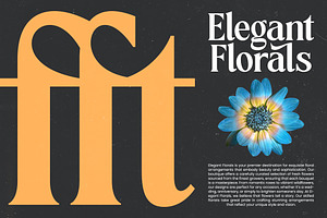 Vitoria Bold Tall Serif Display Font