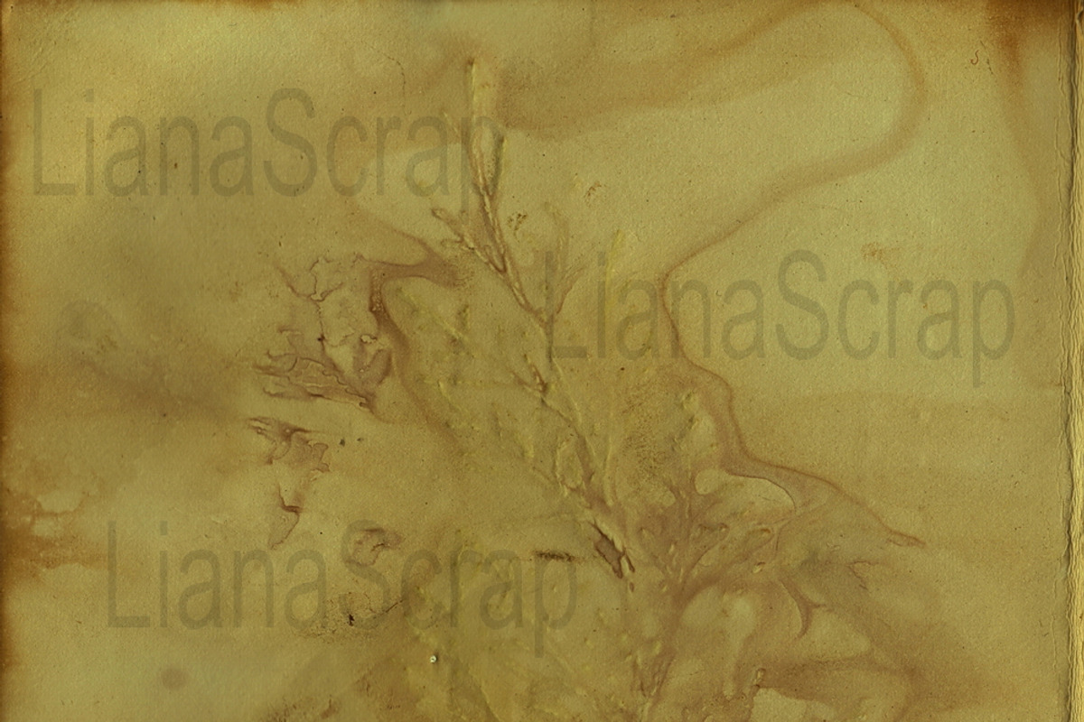 36 ECO Dyed paper - Forest Floor, a Texture Graphic by LianaScrap (Photo 2 of 19)