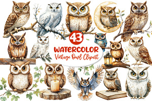 Vintage Owl Clipart, an Illustration by Dream Creation