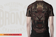 FIGHTER II - Vector illustration, an Animal Illustration by Artistic & Unique (Thumbnail 10 of 12)