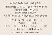 Megunso - Modern Serif Font, a Serif Font by AmorfaType (Thumbnail 10 of 10)