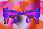 DREAM MATTER Atmospheric Elements, an Object Graphic by angelainthefields (Thumbnail 10 of 12)
