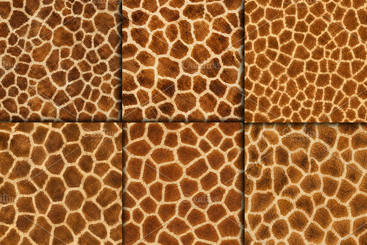 Realistic Giraffe Fur Texture, a Pattern Graphic by Artonix (Photo 3 of 4)