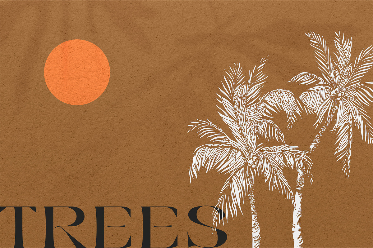 Tropica Collection, a Seasonal Illustration by Michael Rayback Design (Photo 13 of 15)