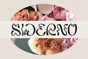 Sagira - Retro Display Font, a Sans Serif Font by Flawless And Co (Thumbnail 2 of 10)