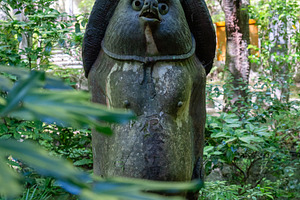 Tanuki statue surrounded by greenery at Mitaki-Dera in Hiroshima, a Nature Photo by GoodGoods