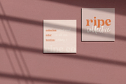The California | Serif Font Duo, a Serif Font by KA Designs (Thumbnail 12 of 24)
