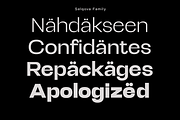 Selqova | Sans serif family, a Sans Serif Font by InkwellTypeCo (Thumbnail 2 of 18)