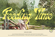 Bayanaka, a Script Font by Damelev (Thumbnail 8 of 9)