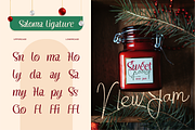 Saloma Signature, a Script Font by Burntilldead (Thumbnail 9 of 11)