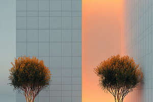 Modern minimalist patio design with, a Photo by Pixeness Studio