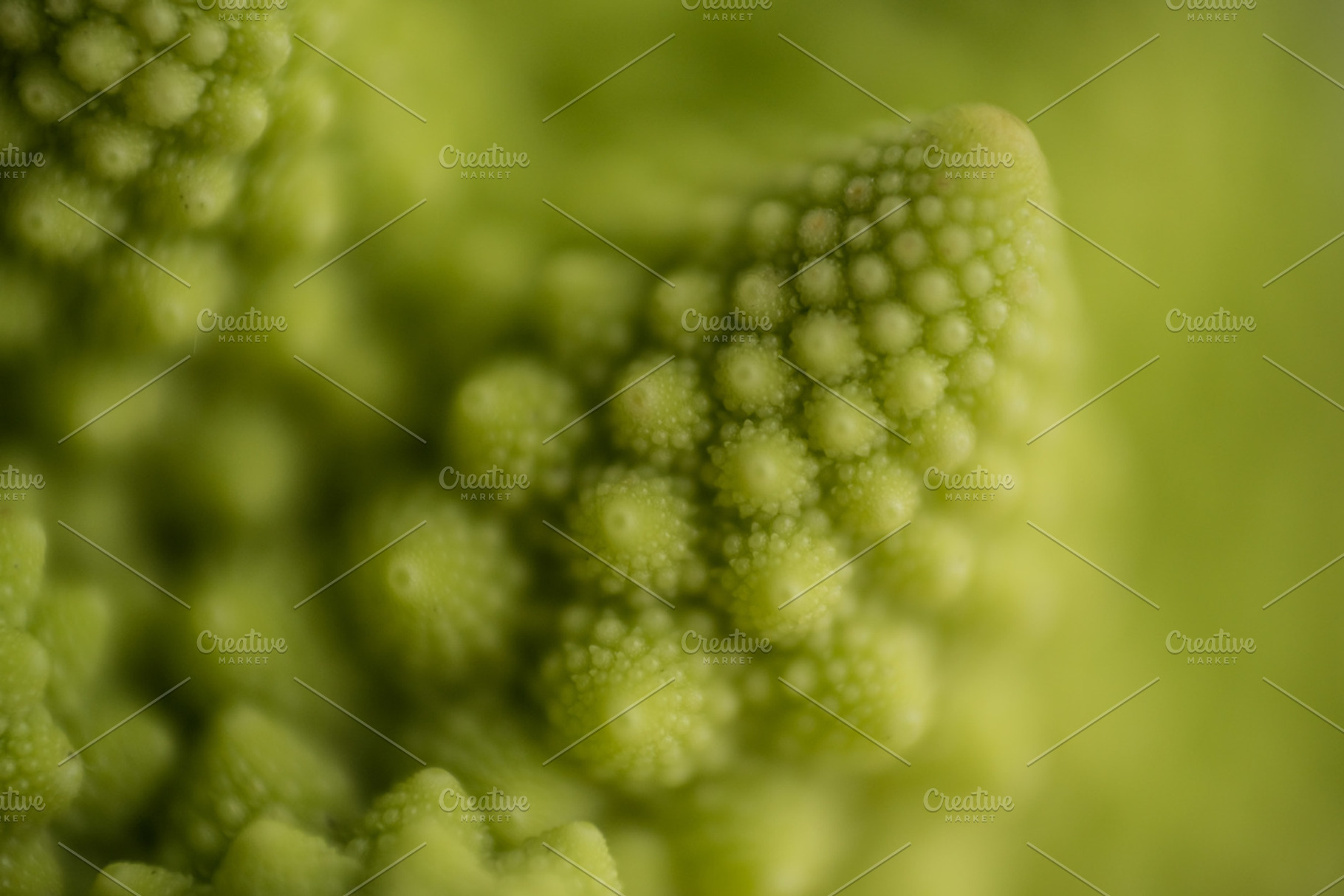 Fractal food, a Food & Drink Photo by Screeny's Photo Bucket