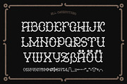 Anise Seeds typeface, a Slab Serif Font by Gleb Guralnyk (Thumbnail 4 of 5)