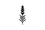 Lavender Stem Silhouette Collection, an Object Graphic by Creativeshirt (Thumbnail 3 of 3)