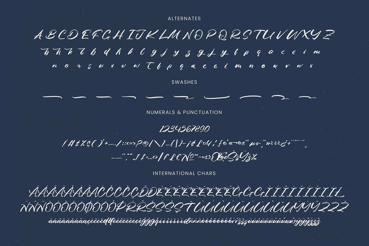 Fasten Dhecta Modern Brush Font, a Script Font by Letterena Studios Script (Photo 19 of 20)