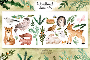 Woodland Animals. Patterns, Cliparts