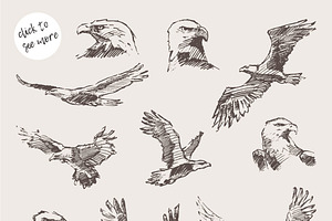 Collection Of Hand Drawn Eagles