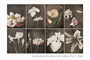 Vintage Japanese II, a Decorative Illustration by rileyBgraphics (Thumbnail 2 of 7)