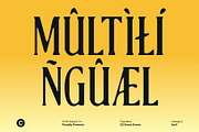 CS Bruna Drawn, a Serif Font by Craft Supply Co. (Thumbnail 6 of 8)