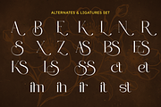 VELOURÉ — Elegance Luxury Serif, a Serif Font by ToniStudio (Thumbnail 11 of 13)
