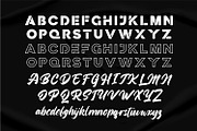 Helva Ventura Font Duo Sans Script, a Script Font by WhymoreArt (Thumbnail 9 of 10)