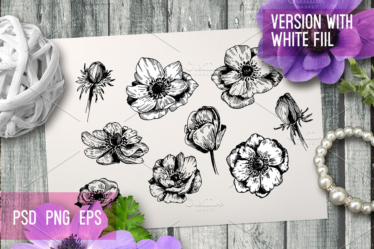 Anemones. Ink flower set, an Illustration by Alena Kaz (Photo 2 of 5)