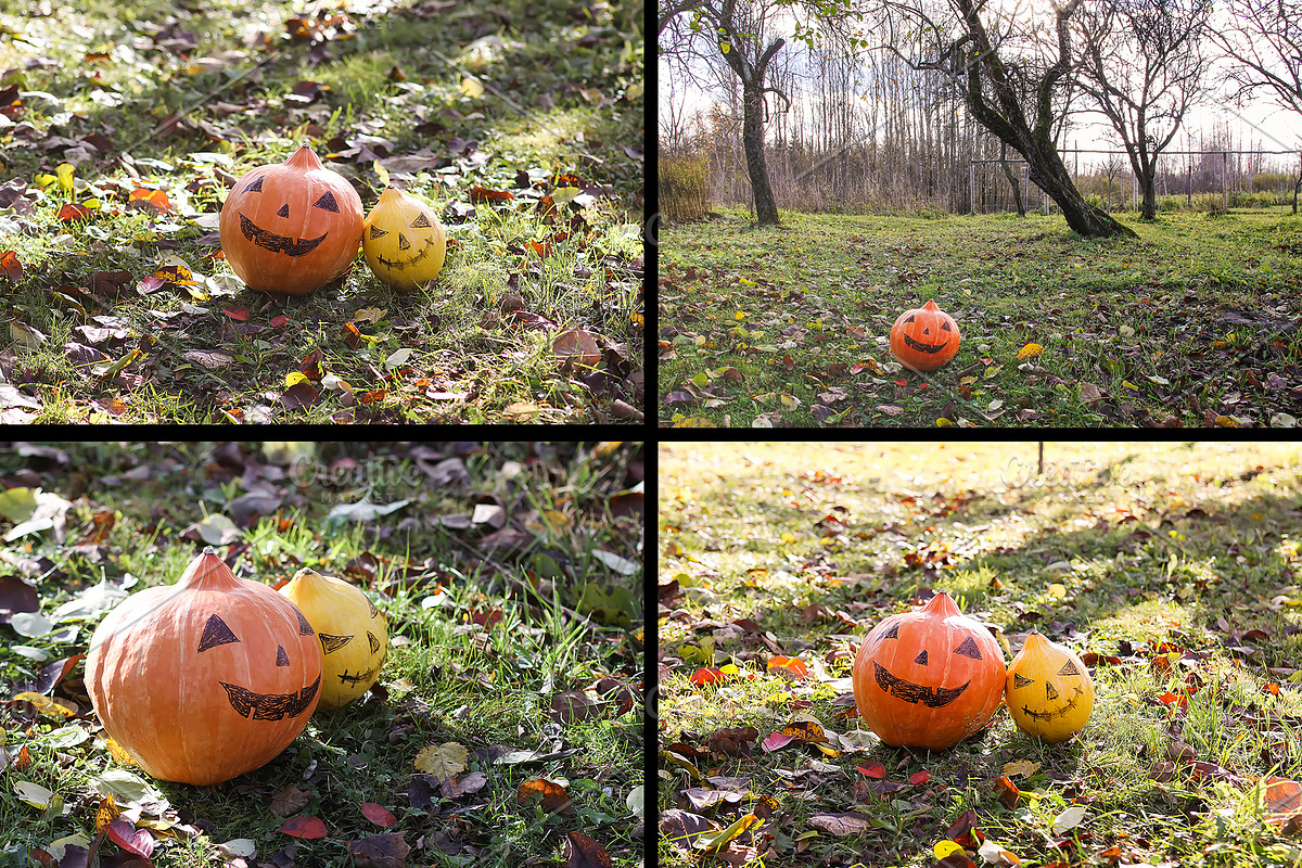 Rustic Pumpkin Garden, a Holiday Photo by pictures for you (Photo 9 of 11)
