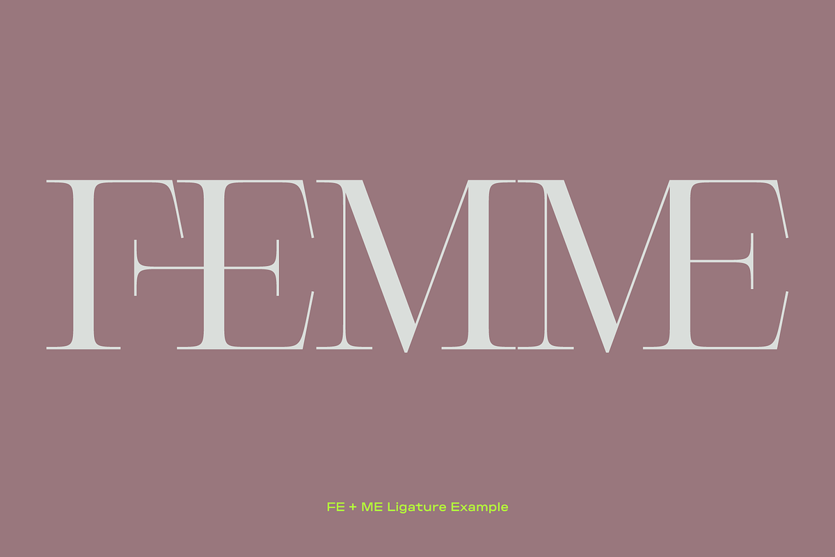Cesso: Ligature Serif, a Serif Font by That That Creative (Photo 3 of 17)