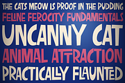 Uncanny Cat PB, a Font by Pink Broccoli (Thumbnail 1 of 5)