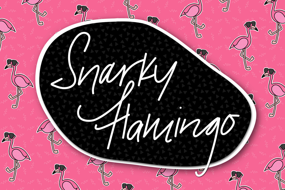 Snarky Flamingo, a Handwritten Font by Kitaleigh (Photo 1 of 4)