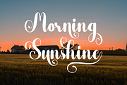 Balutose, a Script Font by Bosstype Studio (Thumbnail 5 of 7)