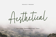Aesthetical - Natural Handwritten, a Handwritten Font by Bluestype Studio (Thumbnail 1 of 8)