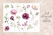 Peonies watercolor set., an Illustration by Larisa Maslova (Thumbnail 10 of 14)