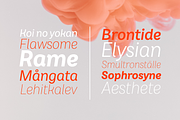Brahmana, a Sans Serif Font by OceaneM (Thumbnail 8 of 9)