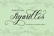 Sigarillos, a Script Font by danti (Thumbnail 1 of 8)