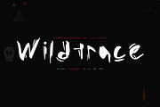 Wildtrace — Handwritten Display Font, a Handwritten Font by Lettra Studio (Thumbnail 1 of 12)
