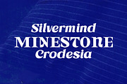 Astone Nisam, a Sans Serif Font by Gatype (Thumbnail 10 of 10)