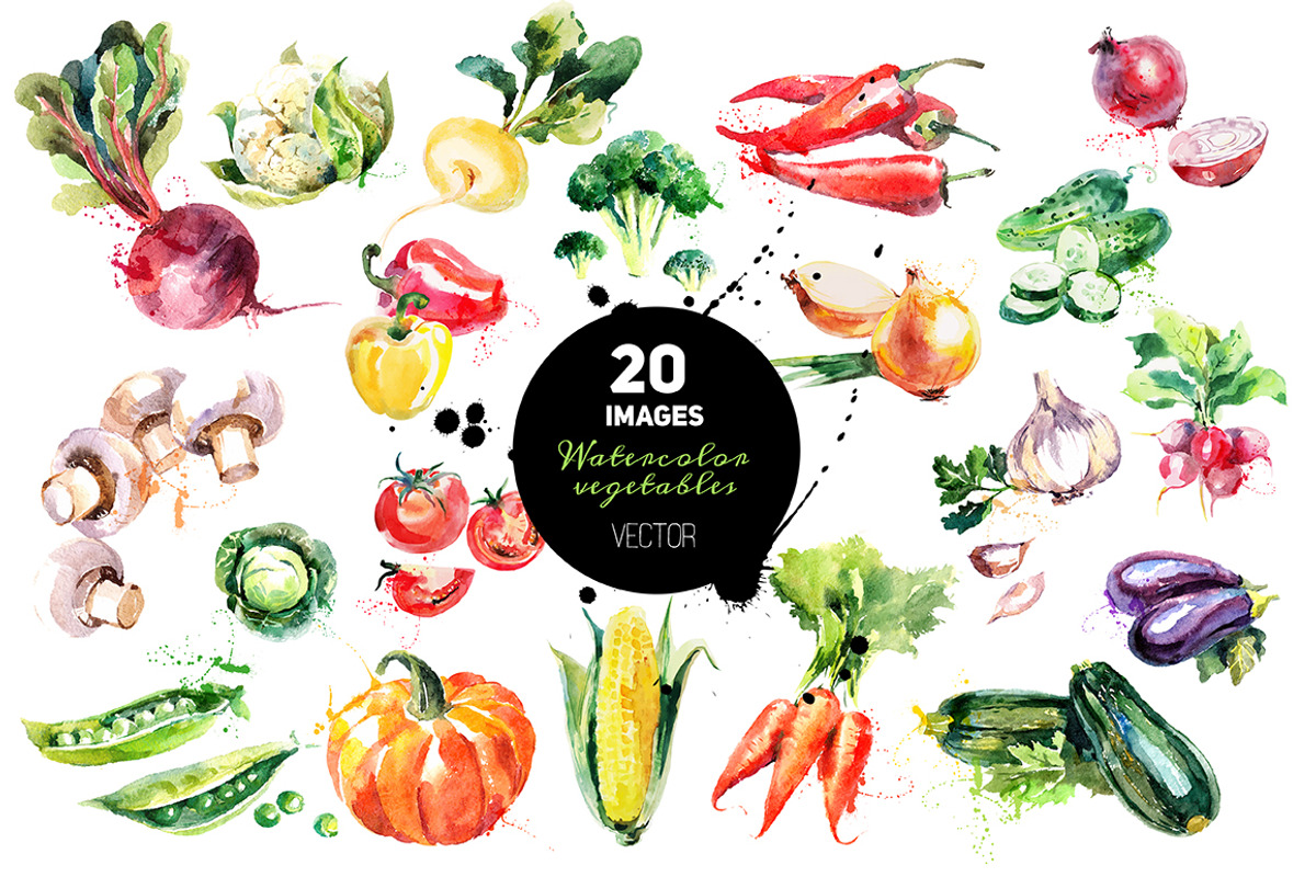 Watercolor Bundle Vector Set, a Food Illustration by Elena Pimonova (Photo 2 of 13)