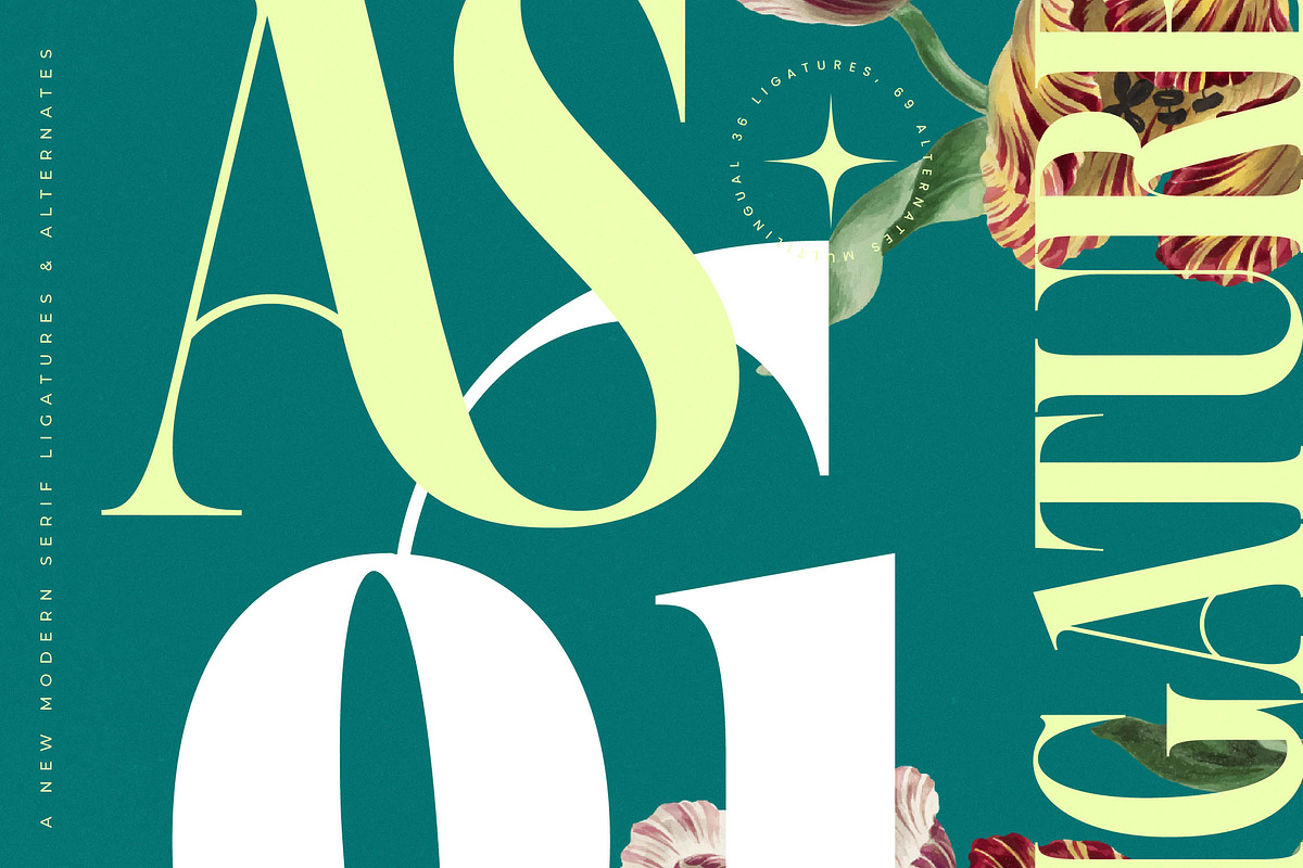 Magiction Modern Serif Display, a Serif Font by timelesstype.co (Photo 13 of 20)