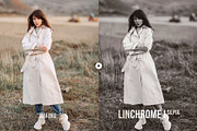 Linchrome Black & White Actions, an Action Add-On by skybluecreative (Thumbnail 10 of 11)