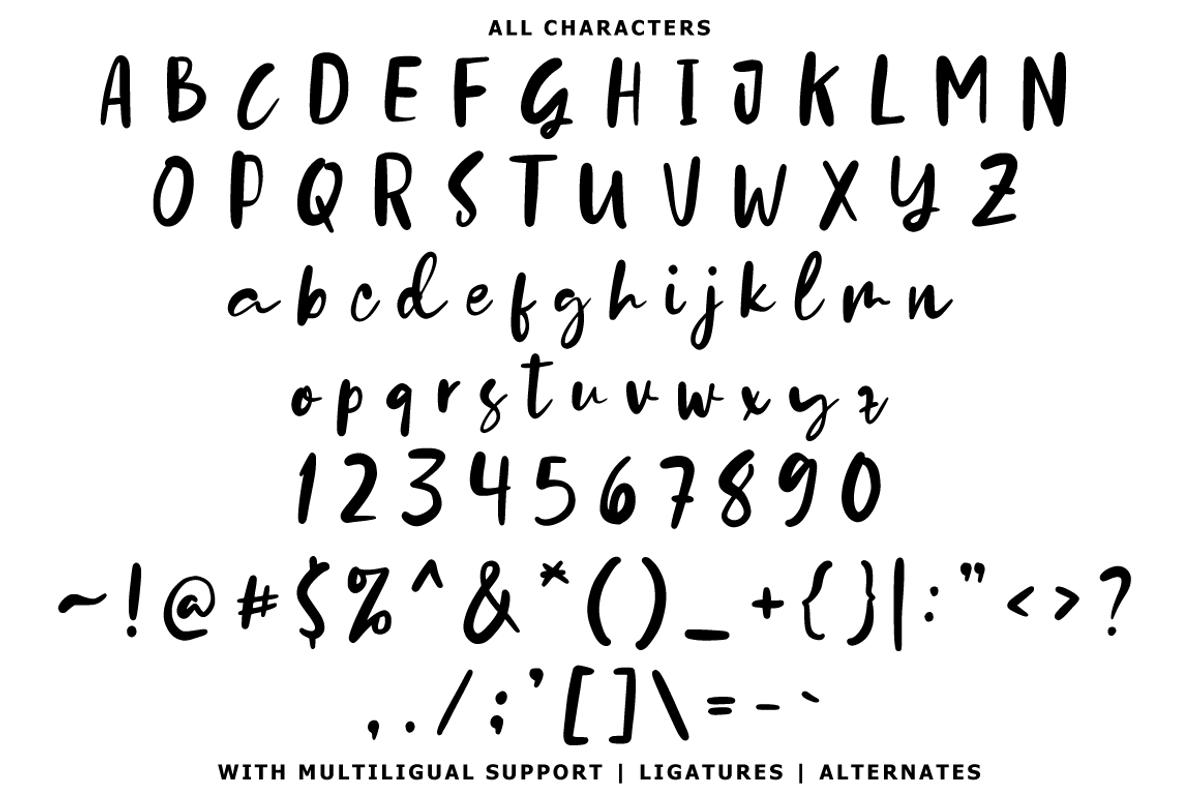 Stylleda - Handwritten Font, a Script Font by tebaltipislab (Photo 8 of 11)