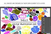 Shells - vector illustration set, an Animal Illustration by Renée from Studio neetje (Thumbnail 3 of 4)