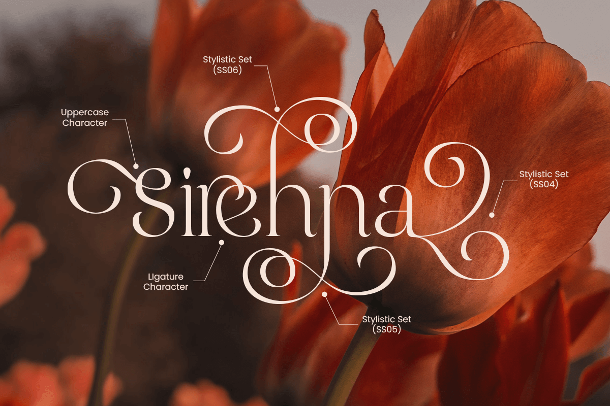 Elarose- Luxury Cinematic Serif Font, a Serif Font by Sensatype (Photo 9 of 13)
