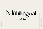 Agoka Modern Classic Typeface, a Serif Font by delipensil (Thumbnail 8 of 11)