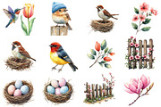 Watercolor Bird Clipart, an Illustration by Designworld (Thumbnail 2 of 5)