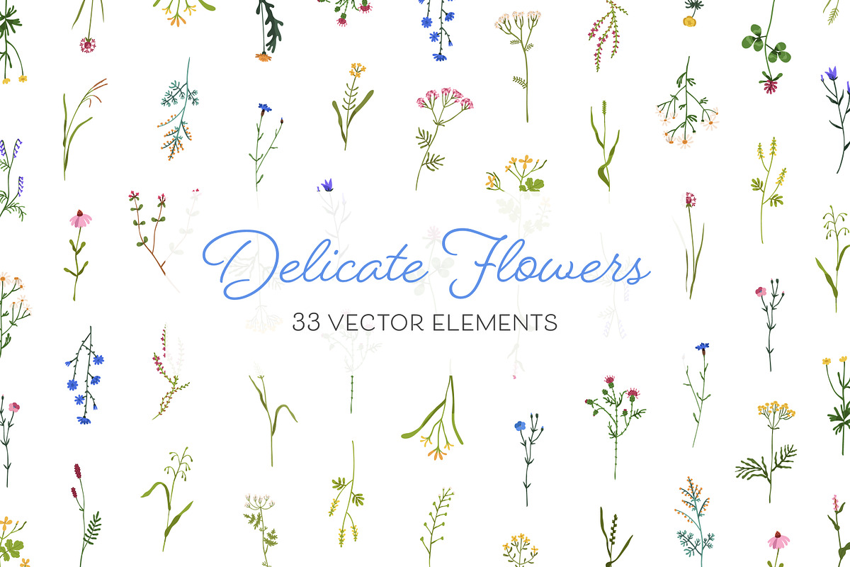 Field and meadow wild flowers set, a Decorative Illustration by Good Studio (Photo 1 of 4)
