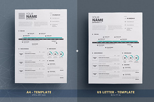 Infographic Resume/Cv Template Vol.5